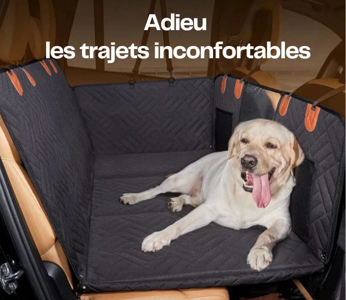 Protection de siège auto rigide pour chien