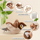 Oiseau Interactif Électrique Rechargeable pour Chat