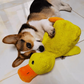 Canard Anti-Stress pour chien